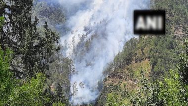 Fire In Forest: तापमान बढ़ते ही सुलगने लगे जंगल, शिमला के वन क्षेत्र में लगी भीषण आग