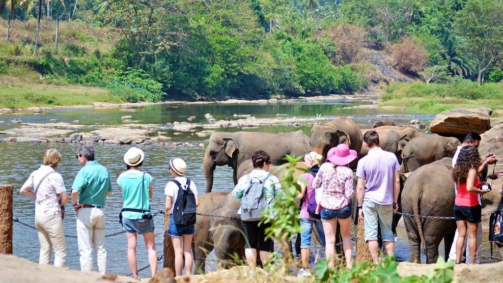 पर्यटकों को लुभा रहा ईको टूरिज्म, महत्वपूर्ण स्थलों को विकसित करेगी यूपी सरकार
