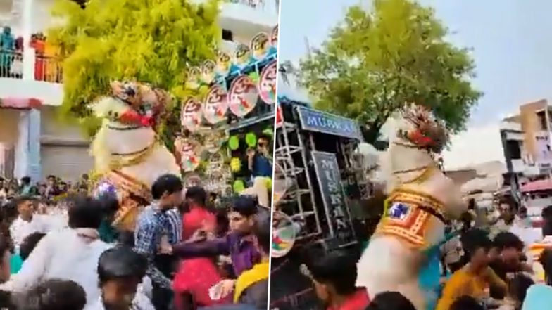 UP: हमीरपुर में बारात में लोगों के डांस के दौरान घोड़ा हुआ बेकाबू, बारातियों को रौंदते हुए भागा- Watch Video
