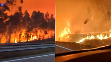 Viral Video: पुर्तगाल के जंगलों में लगी भीषण आग, खतरनाक लपटों के बीच कार चलाने का वाडियो वायरल