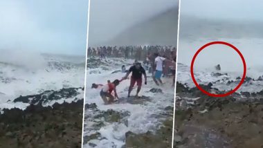 Shocking Video: ऊंची-ऊंची लहरों के बीच समंदर किनारे रील्स बना रही थी लड़की, अचानक हुआ कुछ ऐसा... देखकर दंग रह जाएंगे आप