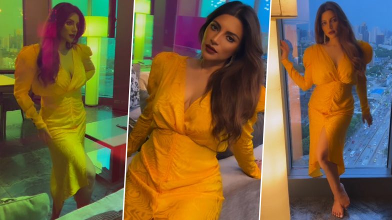 Shama Sikander Bold Video: शमा सिकंदर ने हॉट डीप नेक ड्रेस में लगाया बोल्डनेस का तड़का, यूजर्स का छूटा पसीना