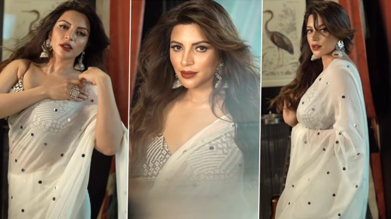 Shama Sikander Hot Video: शमा सिकंदर का ट्रांसपेरेंट साड़ी में दिखा स्टनिंग अवतार, यूजर्स बोले-फायर हो तुम