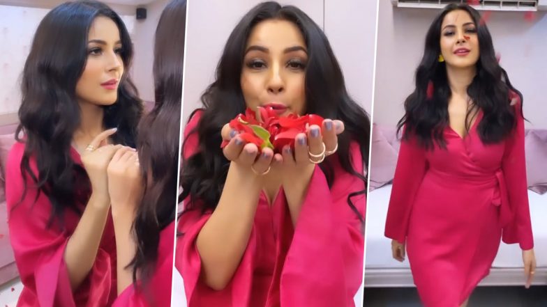 Shehnaaz Gill Hot Video: गुलाबों से खेलती नजर आईं शहनाज गिल, एक्ट्रेस का नटखट अंदाज देख फैंस का हाल हुआ बेहाल