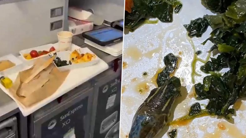 Snake Salad: केबिन क्रू के खाने के पैकेट में मिला सांप का सिर, हैरान करने वाला वीडियो हुआ वायरल (Watch Viral Video)
