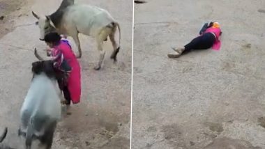 Rajasthan: सड़क पर निकली महिला पर तीन सांडों ने घेरकर किया हमला, हैरान करने वाला वीडियो हुआ वायरल