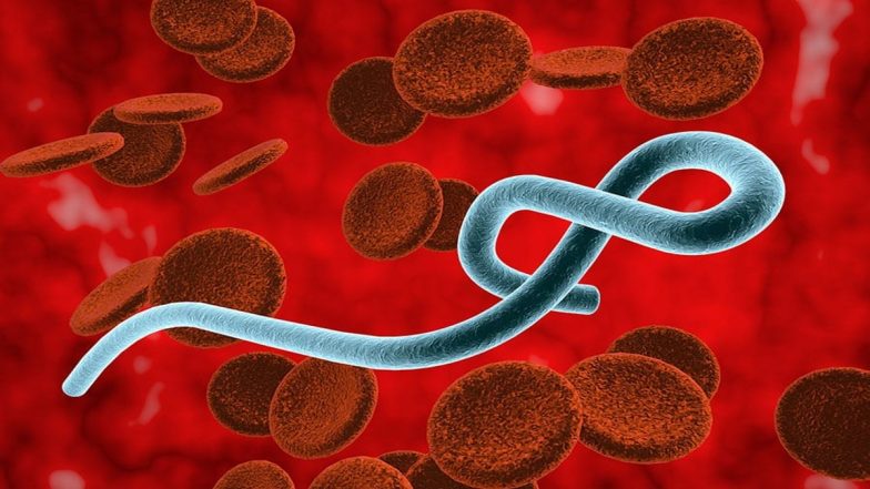 Marburg Virus: घातक मारबर्ग वायरस के 2 संदिग्ध मामले आए सामने, इसका नहीं है कोई वैक्सीन