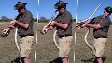 King Cobra Viral Video: किंग कोबरा से शख्स ने लिया पंगा तो नागराज ने किया अटैक, दिल की धड़कनें बढ़ाने वाला वीडियो हुआ वायरल
