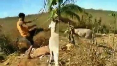 गधे को बेरहमी से पीट रहा था शख्स, जानवर को आया गुस्सा तो मालिक से कुछ इस तरह लिया बदला (Watch Viral Video)