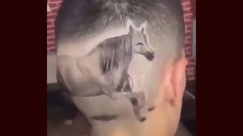 शख्स ने अपने सिर पर बनवाया घोड़ा, इस अनोखे हेयर स्टाइल को देख छूट जाएगी आपक हंसी