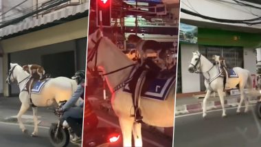 Viral Video: घोड़े पर सवार होकर पूरे शहर में घूमता नजर आया कुत्ता, मजेदार वीडियो हुआ वायरल