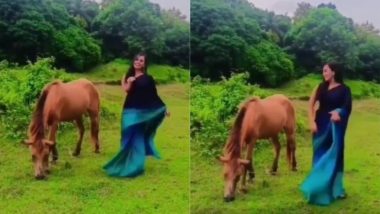 Funny Viral Video: घोड़े के पास डांस करके रील्स बनाने लगी लड़की, गुस्साए जानवर ने ऐसे सिखाया सबक