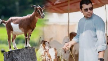 Kamran Akmal's Goat Stolen: पाकिस्तान में बकरे भी नही सुरक्षित, क्रिकेटर कामरान अकमल का कुर्बानी का बकरा चोरी, कीमत सुन होश उड़ जाएंगे