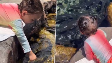 Viral Video: मछलियों के साथ खेलते-खेलते उन्हें गिलास से पानी पिलाने लगी बच्ची, उसकी क्यूटनेस पर फिदा हुए लोग