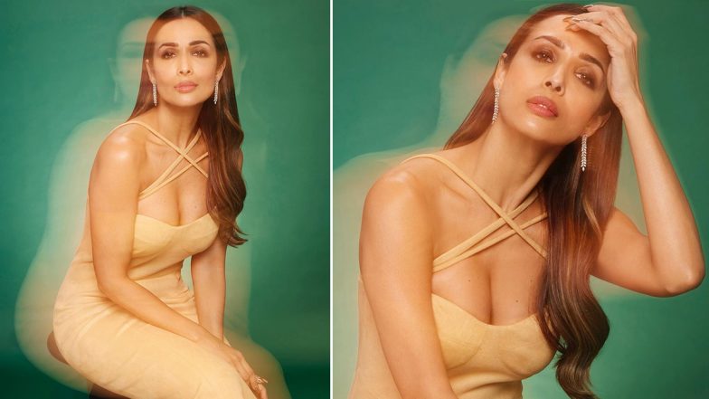 Malaika Arora Hot Photos: मलाइका अरोड़ा ने अपने स्टनिंग अवतार से बढ़ाया पारा, यूजर्स का धड़का दिल