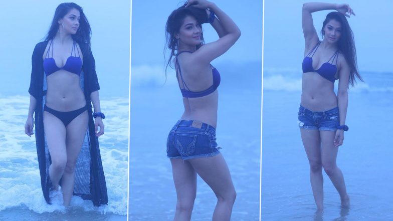 भोजपुरी एक्ट्रेस Namrata Malla ने बीच पर ब्रा और सेक्सी अंडरगारमेंट्स में पोस्ट की Sexy Pictures, Hot Photos हुई Viral