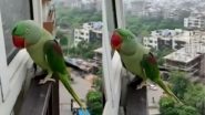 Parrot Viral Video: घर के अंदर जाने के लिए तोते ने लगाई गुहार, खिड़की खटखटाकर रटने लगा मम्मी-मम्मी