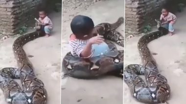Viral Video: जब विशालकाय अजगर के फन को पकड़कर मस्ती करने लगा दो साल का बच्चा, उसके कारनामे ने किया सबको हैरान
