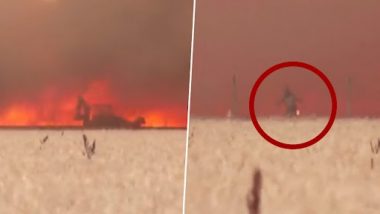 Spain: जंगल में लगी आग की चपेट में आने से बाल-बाल बचा शख्स, चमत्कारिक ढंग से बची जान (Watch Video)