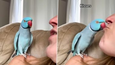 Viral Video: यह ब्लू तोता महिला को किस करता है और क्यूट बोलता है, दोनों की बातचीत का क्यूट वीडियो वायरल