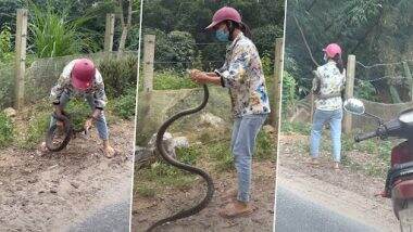 Woman Catches Snake With Bare Hands: महिला ने नंगे हाथों से पकड़ा खतरनाक सांप, देखें देखें भयावह वीडियो