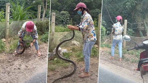Woman Catches Snake With Bare Hands: महिला ने नंगे हाथों से पकड़ा खतरनाक सांप, देखें देखें भयावह वीडियो
