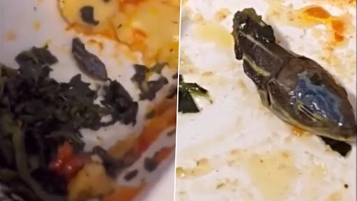 फ्लाइट अटेंडेंट को खाने में मिला सांप का कटा हुआ सिर, भयानक वीडियो हुआ वायरल