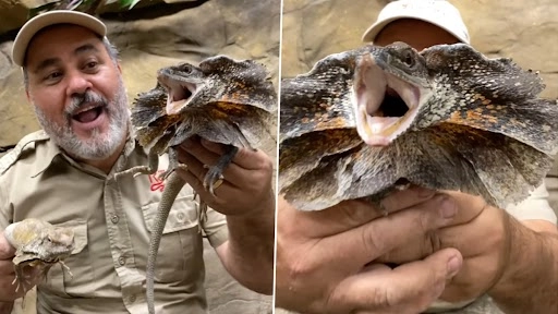 Phulwari Sharif Case: एनआईए ने बिहार में छापेमारी की, डिजिटल उपकरण बरामद किए