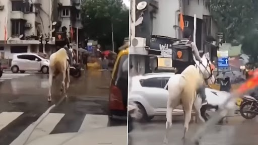 Swiggy delivery on Horse: मुंबई में बारिश के बीच स्विगी डिलीवरी बॉय ने घोड़े से की फ़ूड डिलीवरी, इंटरनेट पर लोगों ने कहा 'जुगाड़'