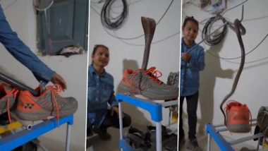 Viral Video: जूते के अंदर छिप कर बैठा था खतरनाक किंग कोबरा, इंटरनेट पर वायरल हुआ भयानक वीडियो