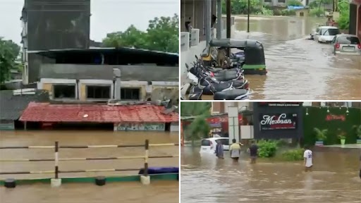 Gujarat Floods: भारी बारिश के बीच नवसारी के कई हिस्से डूबे, लोगों और जानवरों को हो रही है परेशानी, देखें वीडियो