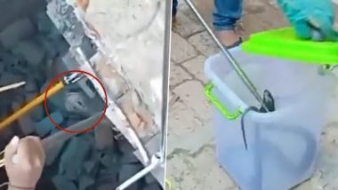 Viral Video: दीवारों के बीच फंसे कोबरा को बचाने के लिए गिराया घर, देखें रेस्क्यू वीडियो