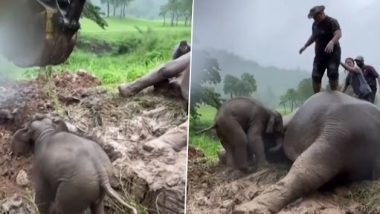 Viral Video: बेबी हाथी के गड्ढे में गिरने के बाद स्ट्रेस में मम्मी हथिनी हुई बेहोश, देखें इमोशनल वीडियो