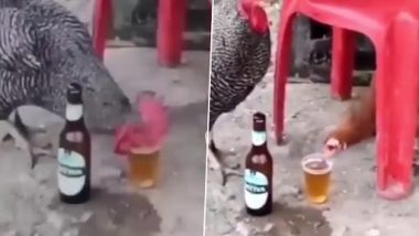 Viral Video: ग्लास में से बीयर पीते हुए मुर्गियों का क्लिप वायरल, वीडियो देख नेटिज़न्स हुए लोट-पोट