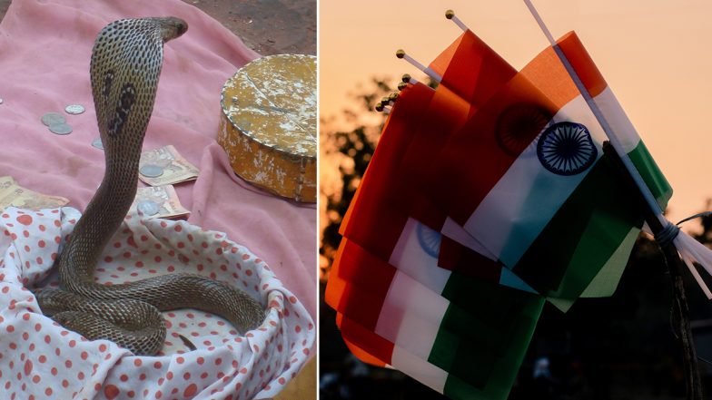 August 2022 Festivals: नागपंचमी, स्वतंत्रता दिवस का 'अमृत महोत्सव', कृष्ण जन्माष्टमी, गणेशोत्सव समेत खास व्रतों एवं विशेष दिवसों की तिथियों की संपूर्ण सूची!