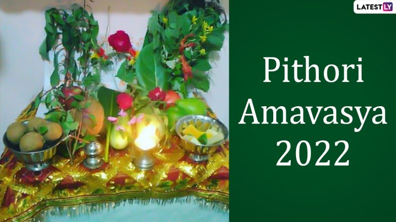 Pithori Amavasya 2022: कौन हैं पिथौरी देवी? क्यों की जाती है इनकी पूजा? जानें इनकी पूजा-विधि, पूजा मुहूर्त एवं पिथौरी देवी की पारंपरिक कथा!