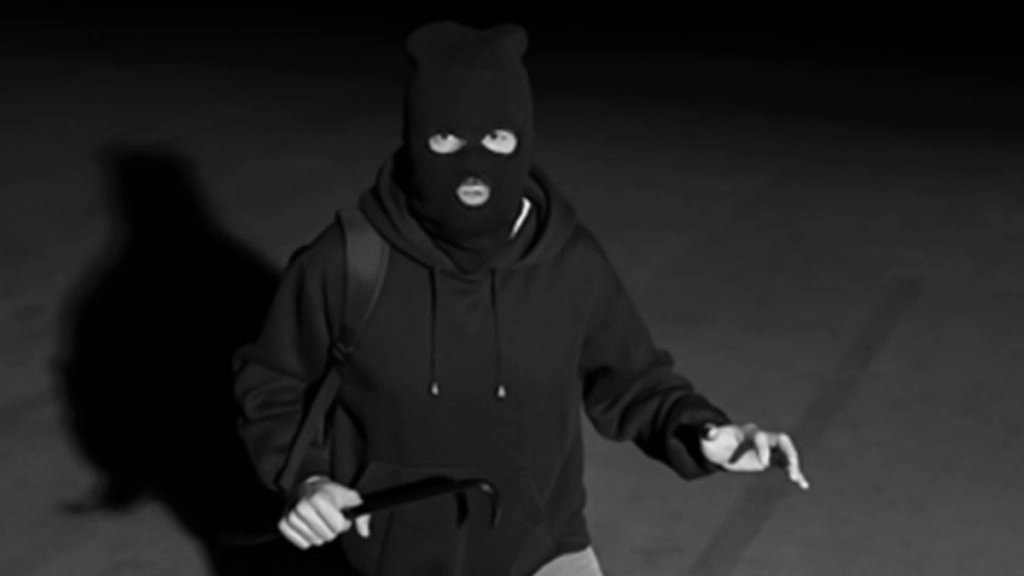 राष्ट्रीय राजधानी दिल्ली में साल के पहले 6 महीनों में 5,000 से ज्यादा हुईं लूट की वारदातें