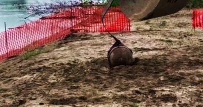 द्वितीय विश्व युद्ध के ज़माने के बम को इटली में किया गया डिफ्यूज़