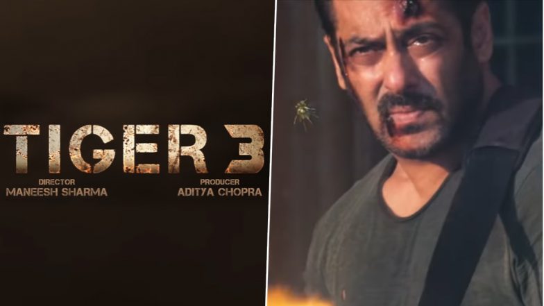Tiger 3 Release Date: 'टाइगर 3' के लिए फैन्स को करना होगा इंतजार, सलमान खान ने अनाउंस की फिल्म की नई रिलीज डेट