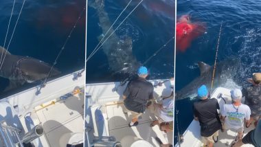 Shark Viral Video: समुद्री शेर का शिकार करने बाद पानी में नाव के चक्कर लगाने लगी विशालकाय शार्क, डर के मारे हुआ लोगों का बुरा हाल