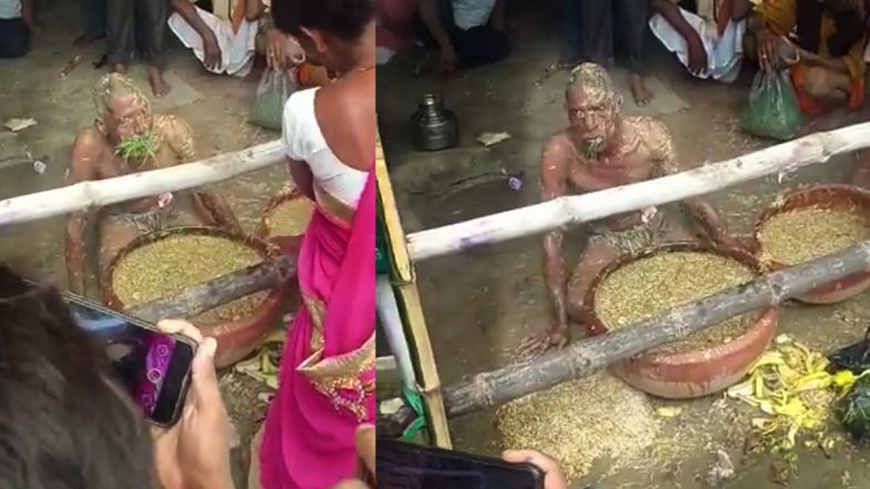 VIRAL VIDEO: भैंस की तरह भूसा खाता है ये शख्स, वायरल वीडियो में देखें क्यों करता है पशुओं जैसा व्यवहार