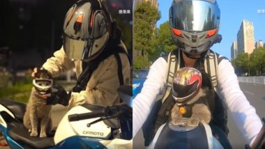 सिर पर छोटा सा हेलमेट पहनकर बिल्ली ने मालिक के साथ की बाइक की सैर, Viral Video देख आ जाएगी चेहरे पर मुस्कान