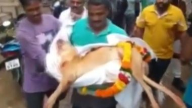 Odisha: गजपति जिले में परिवार ने हिंदू रीति-रिवाजों के साथ किया अपने पालतू कुत्ते का अंतिम संस्कार