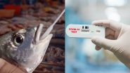 Viral Video: चीन में अब भी है कोरोना की दहशत, मछली के मुंह से लिया जा रहा कोविड सैंपल, क्या वे भी हो सकते हैं कोरोना संक्रमित?