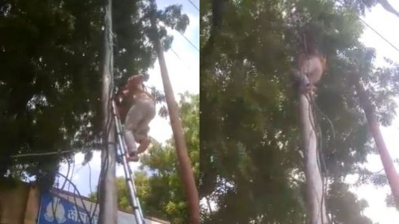 Uttar Pradesh: शामली में ट्रैफिक पुलिस ने काटा विद्युत विभाग के कर्मचारी का चालान, गुस्साए लाईनमैनों ने बदले में कट कर दिया थाने का बिजली कनेक्शन