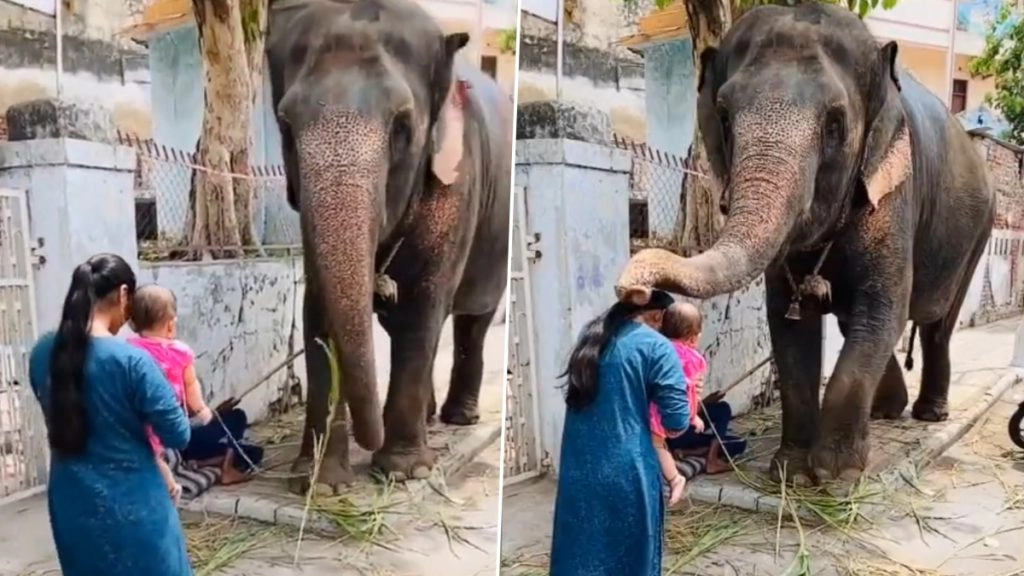 महिला और उसके बच्चे को गजराज ने सूंड उठाकर दिया आशीर्वाद, गणेश चतुर्थी पर वायरल हुआ यह मनमोहक वीडियो