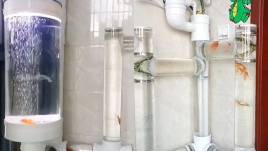 Unique Aquarium: इसे कहते हैं नए जमाने का अनोखा फिश टैंक, वायरल वीडियो देख खुश हो जाएगा आपका दिल