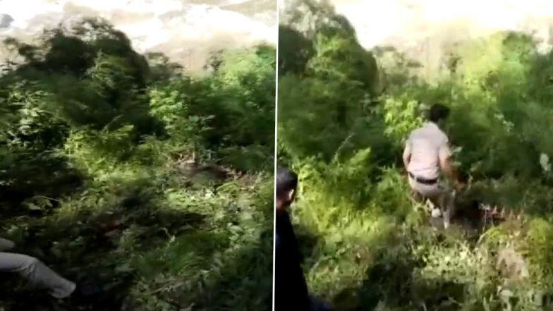 Himachal Pradesh: रामपुर के रनपु गांव में भूस्खलन से एक महिला की मौत, तीन महिलाएं और एक बच्चा घायल