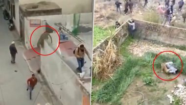 Shocking! गांव में घुसकर तेंदुए ने मचाया आतंक, एक-एक कर कई लोगों पर किया हमला (Watch Viral Video)