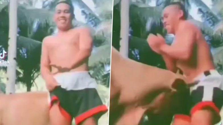 गाय के सामने ‘मार डाला’ गाने पर डांस करना शख्स को पड़ा भारी, अगले ही पल हुआ कुछ ऐसा कि… (Watch Viral Video)